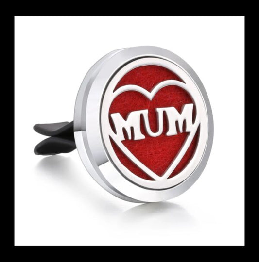 Stainless steel car diffuser