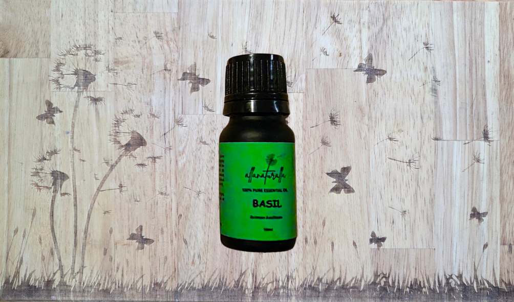 Basil Essential Oil