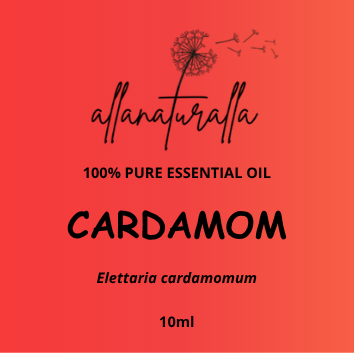 Cardamom Essential Oil