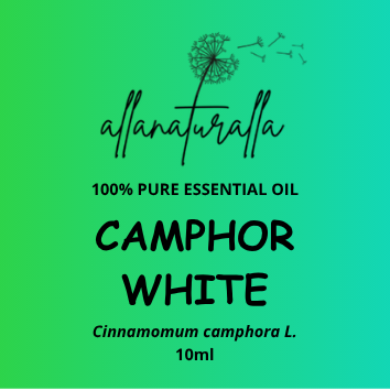 Camphor White Essential Oil