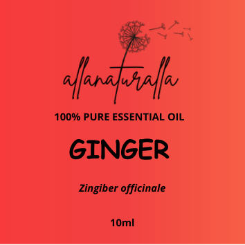 Ginger Essential Oil