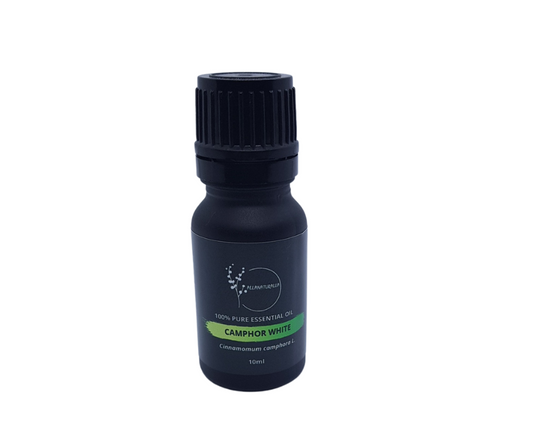 Camphor White Essential Oil