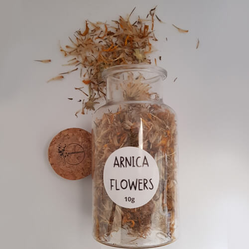 Arnica Flowers(10g)