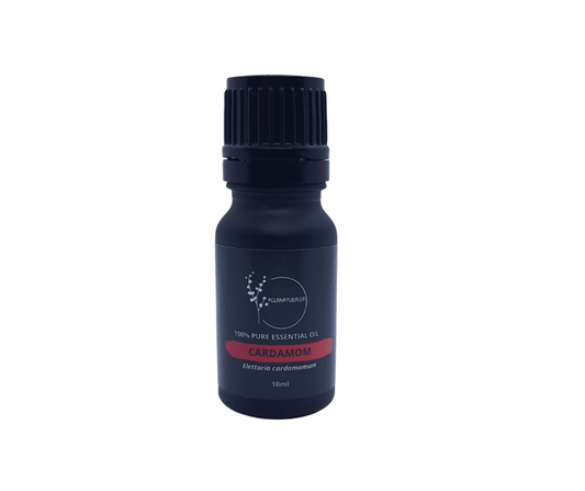 Cardamom Essential Oil