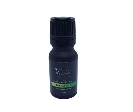 Eucalyptus Australiana Essential Oil