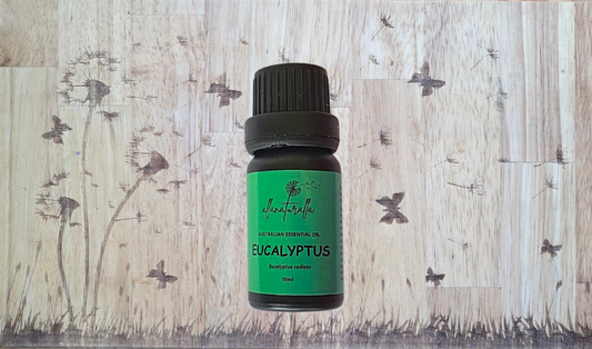 Eucalyptus Australian Essential Oil