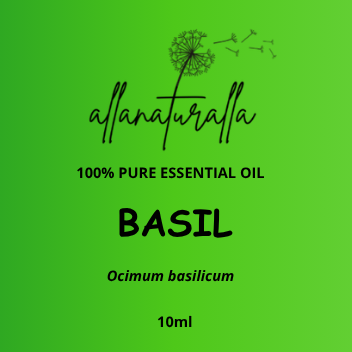 Basil Essential Oil