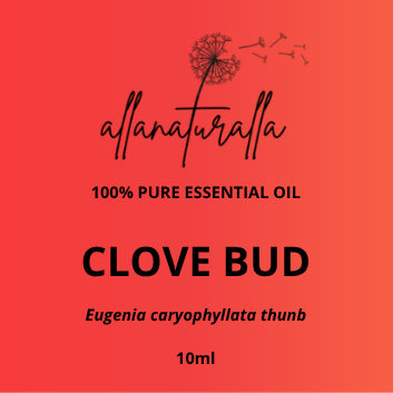 Clove Bud Essential Oil