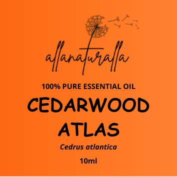 Cedarwood Atlas