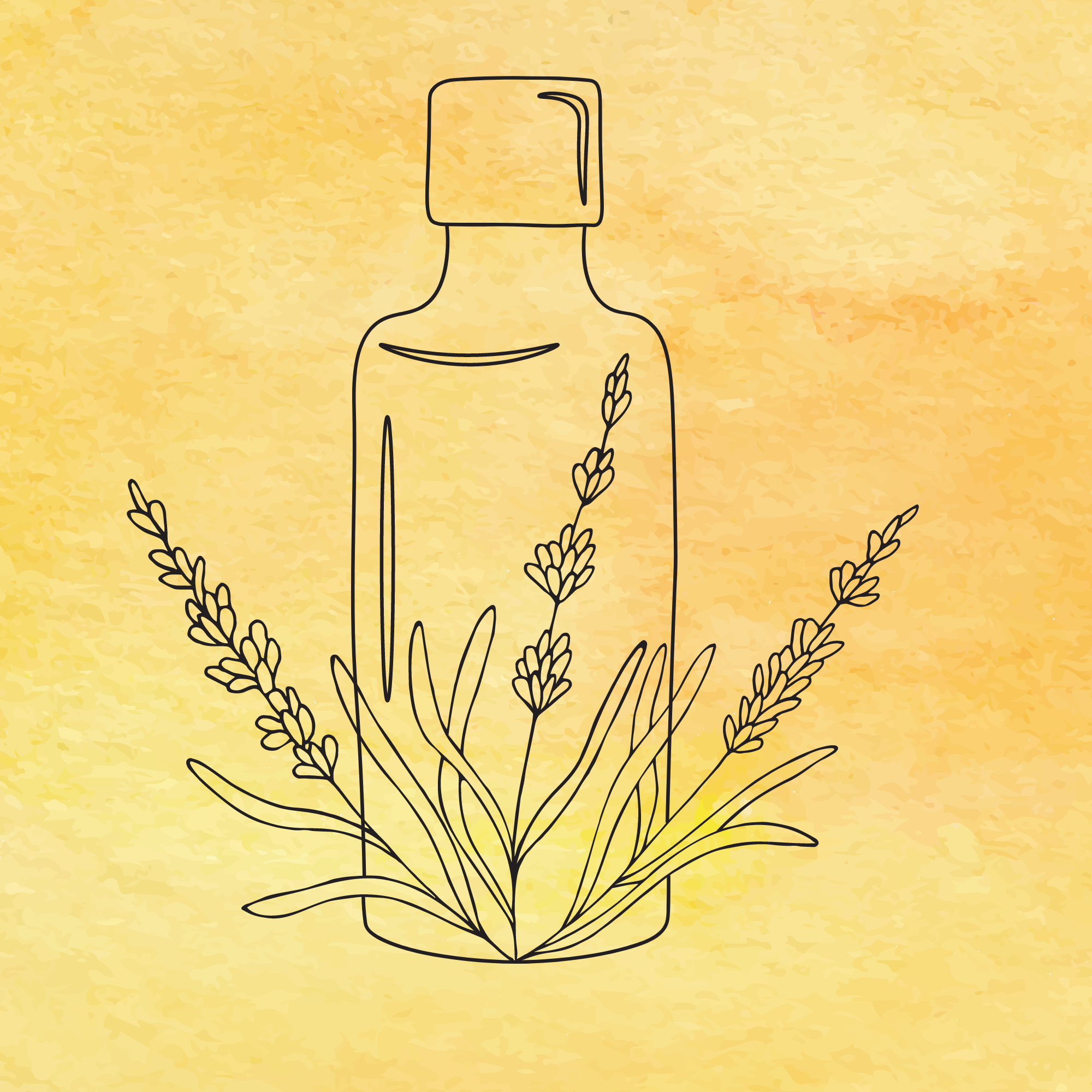 Yellow watercolour background with essential oil and lavender outline image